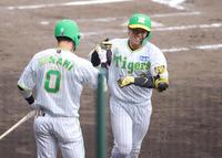 　７回、梅野は左越えに本塁打を放ち、笑顔で木浪（左）とタッチをかわす（撮影・坂部計介）