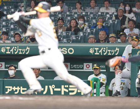 　延長12回、最後の打者となった島田（手前）の投ゴロを見つめる岡田監督（撮影・高部洋祐）