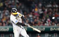 　５回、逆転３ランを放つ大山（撮影・中田匡峻）