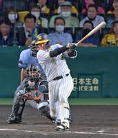 　５回、左翼スタンドへ逆転３ランを放つ大山（撮影・立川洋一郎）