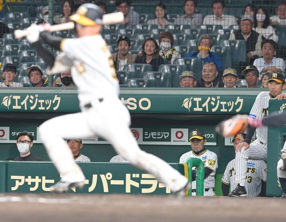 　延長12回、最後の打者となった島田（手前）の投ゴロを見つめる岡田監督（撮影・高部洋祐）