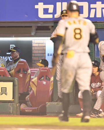 　６回、見逃し三振に倒れた佐藤輝（右）の向こうで厳しい表情の岡田監督（撮影・西岡正）