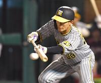 　５回、スクイズを成功させる小幡（撮影・西岡正）