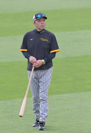 　練習を見守る岡田監督（撮影・立川洋一郎）