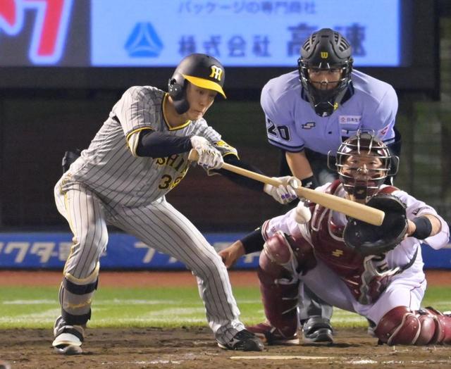 【井川慶氏の眼】非常に大きかった五回の２得点　　