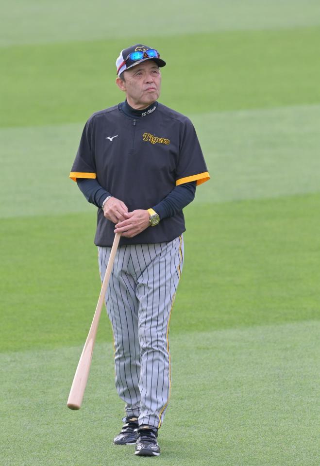 　練習を見守る岡田監督（撮影・立川洋一郎）