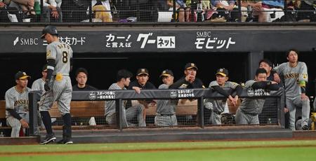 　９回、中飛に倒れベンチに戻る佐藤輝（左）と戦況をみつめる近本（右端）ら阪神ナイン（撮影・中島達哉）