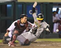 　８回、渡辺諒の犠飛で生還する大山