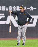 練習中に球場を入念にチェックする岡田監督（撮影・立川洋一郎）