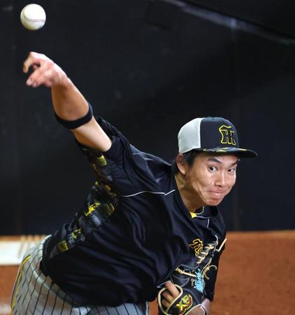 　ブルペンで投げ込む湯浅（撮影・吉澤敬太）