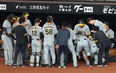 　試合前に円陣を組む阪神ナイン（撮影・吉澤敬太）