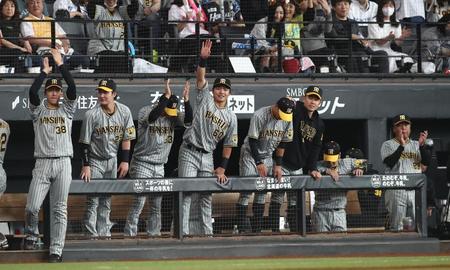 　４回、前川の同点打に盛り上がる阪神ベンチ（撮影・中島達哉）