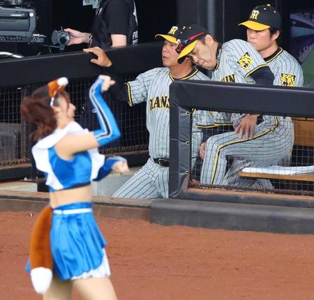 　キツネダンスを横目にベンチに腰かける岡田監督（右）＝撮影・吉澤敬太