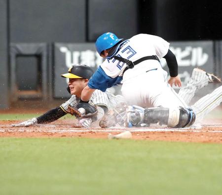 　５回、中野の安打で本塁を狙うもアウトになる二走・木浪（捕手・伏見）＝撮影・中島達哉