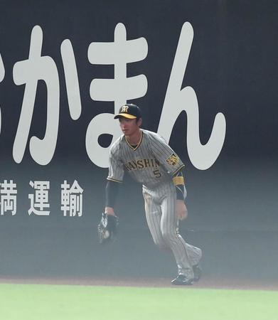 　５回、アルカンタラの打球を好捕した近本（撮影・中島達哉）