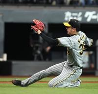 　６回、細川のバントフライに飛び込む才木（撮影・中島達哉）