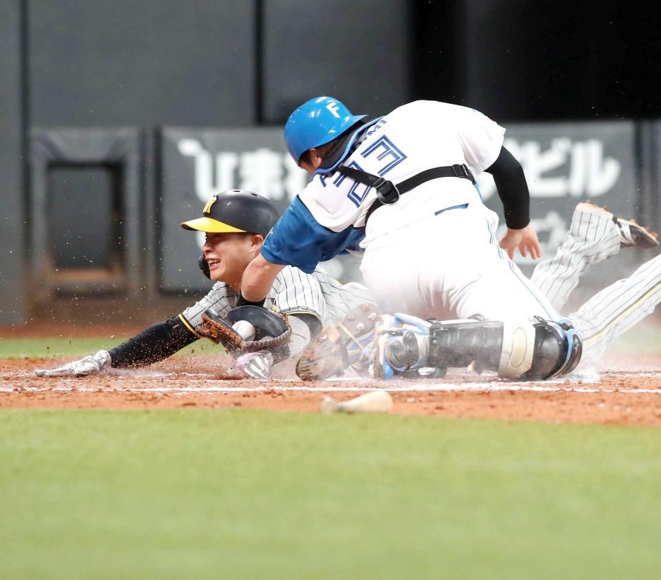 　５回、中野の安打で本塁を狙うもアウトになる二走・木浪（捕手・伏見）＝撮影・中島達哉