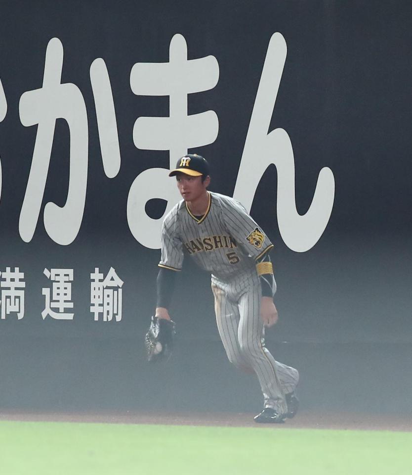 　５回、アルカンタラの打球を好捕した近本（撮影・中島達哉）