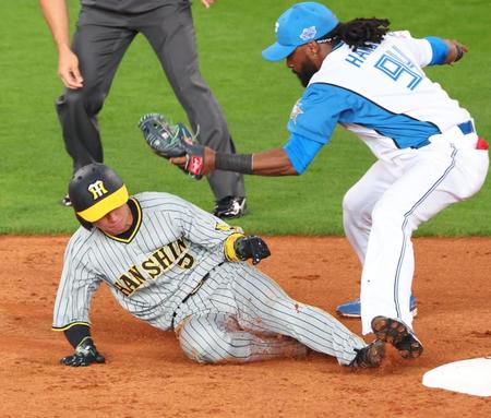 　３回、二盗を決める近本（撮影・吉澤敬太）