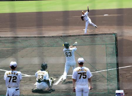 　シート打撃で板山と対戦する岩貞