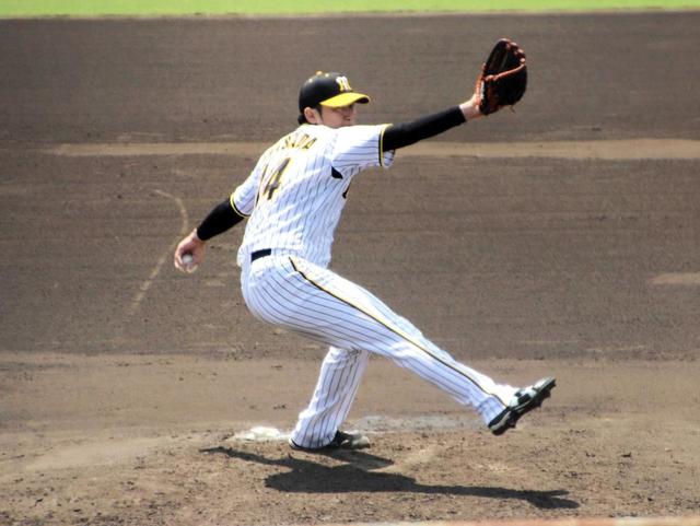 驚きの価格 阪神タイガース 阪神タイガース 岩貞祐太 応援グッズ