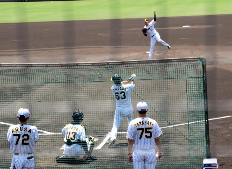 　シート打撃で板山と対戦する岩貞