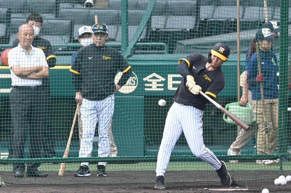 （左から）藤田氏、岡田監督が見守る中、打撃練習する阪神・佐藤輝明＝甲子園（撮影・飯室逸平）