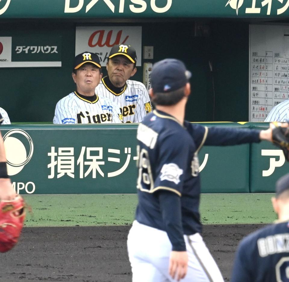 　山本（手前）を攻略出来ず…。ベンチで厳しい表情の岡田監督（撮影・飯室逸平）