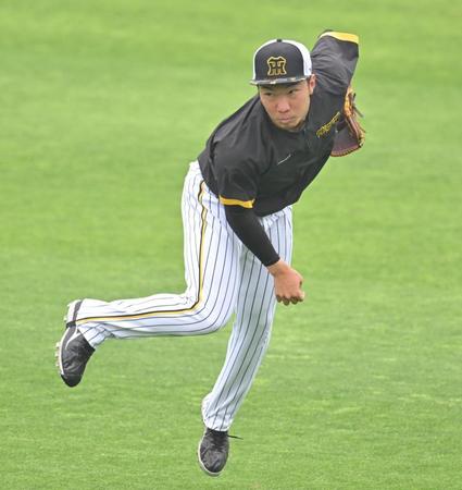 　キャッチボールをする石井（撮影・中田匡峻）