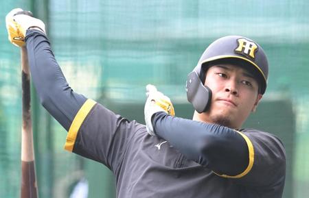 　試合前、打撃練習に励む佐藤輝（撮影・高部洋祐）