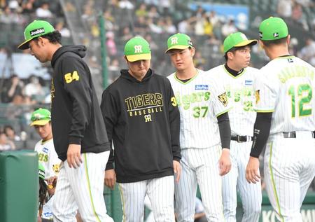 　９回終了後、ベンチに戻る（左から）加治屋、浜地、及川、才木（撮影・高部洋祐）