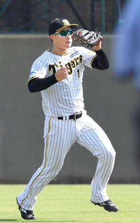 　８回、渡辺の打球を捕球する森下