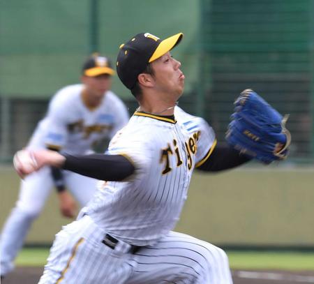 　先発し、力投する青柳