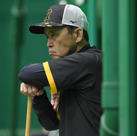 　ナインの練習を見守る岡田監督（撮影・高部洋祐）