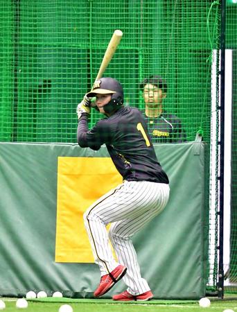 　テークバックを小さくした森下