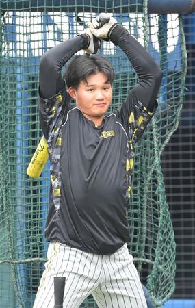 　試合前の打撃練習に臨む森下（撮影・高部洋祐）
