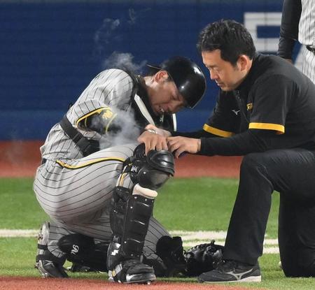 ５回、右足を負傷する梅野（撮影・堀内翔）