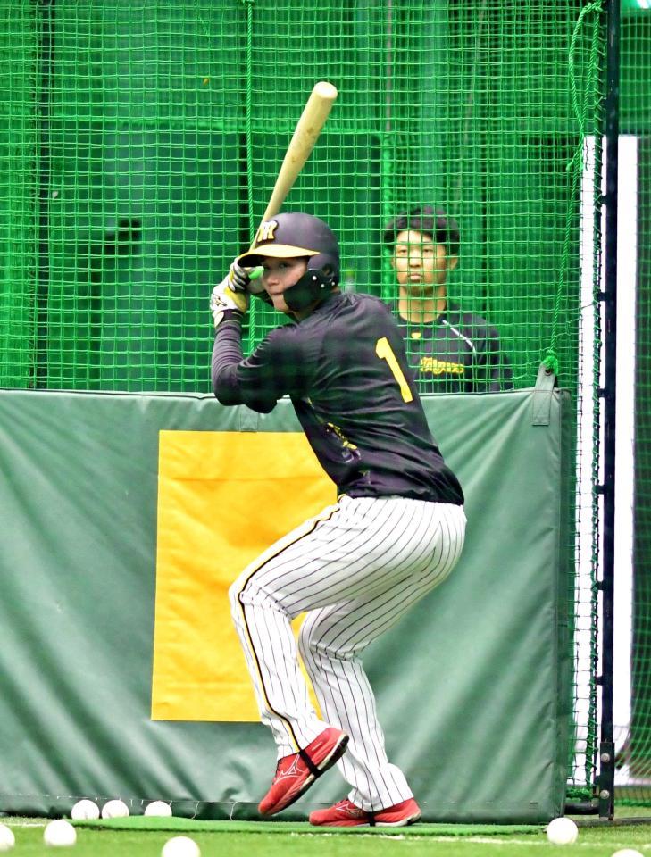 　テークバックを小さくした森下