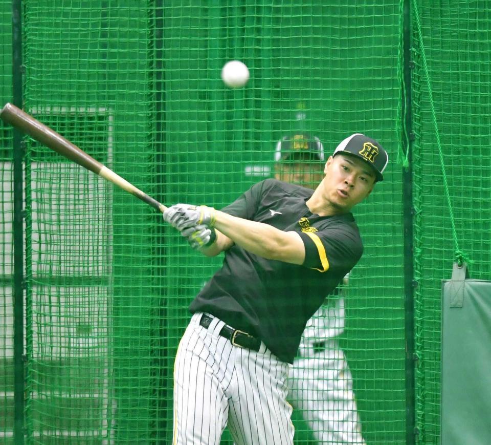 　打撃練習をする佐藤輝