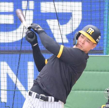 　試合前に打撃練習をする佐藤輝（撮影・堀内翔）