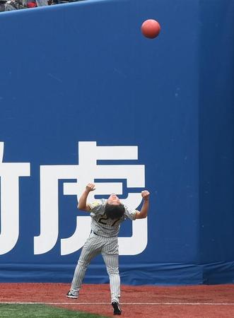 試合前の練習中にトレーニング用のボールを投げる伊藤将（撮影・堀内翔）