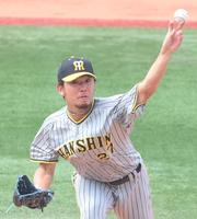 　力投する伊藤将（撮影・高部洋祐）