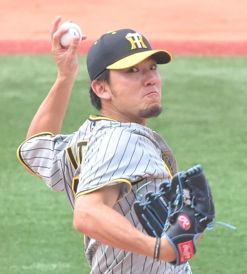 　力投する伊藤将（撮影・高部洋祐）