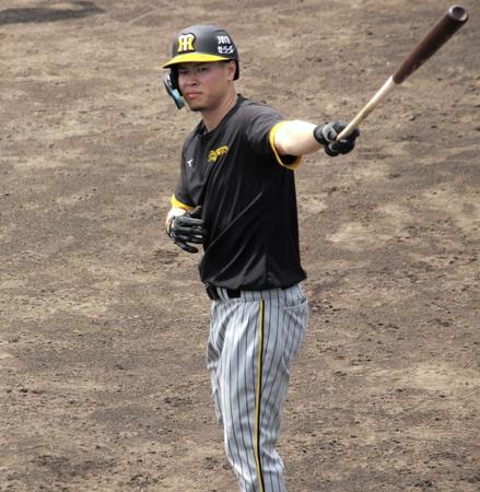 　試合前に打撃練習をする佐藤輝