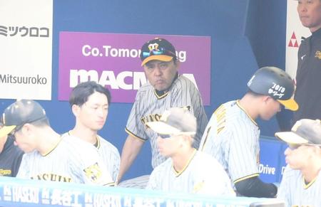 　６回、ベンチから試合を見つめる岡田監督。右は空振り三振に倒れた森下（撮影・堀内翔）