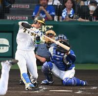 　３回、先制犠飛を放つ近本（撮影・飯室逸平）