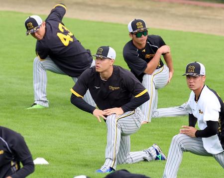 　アップする佐藤輝（中央）＝撮影・山口登