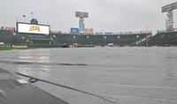 　雨が降るグラウンドにはシートが敷かれる（撮影・中田匡峻）