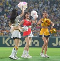 　「台湾デー」のイベントを盛り上げる台湾プロ野球チームのチアガールら（撮影・立川洋一郎）