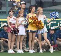 　「台湾デー」で球場に姿を見せた台湾チアガール（撮影・飯室逸平）